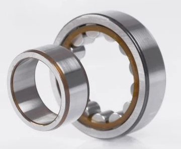 SKF NJ 305 ECP