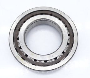 SKF NUP 213 ECP